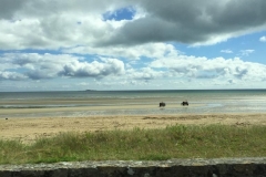 IMG-20190611-WA0018